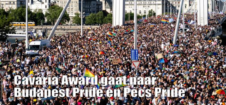 Çavaria Award gaat naar Budapest Pride en Pécs Pride